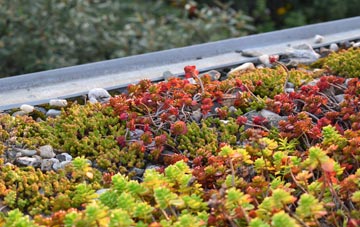 the cost of Whitemoor green roof installation