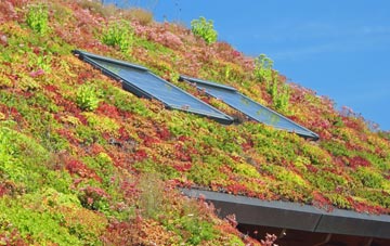 Whitemoor living roof systems